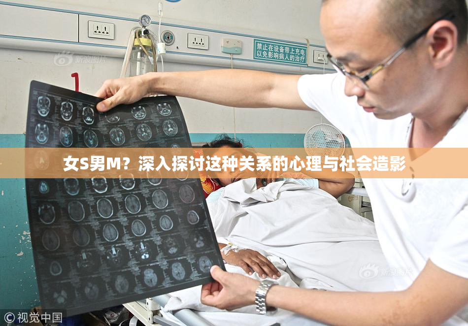 女S男M？深入探讨这种关系的心理与社会造影