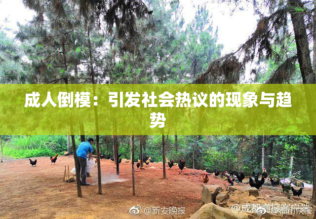 成人倒模：引发社会热议的现象与趋势