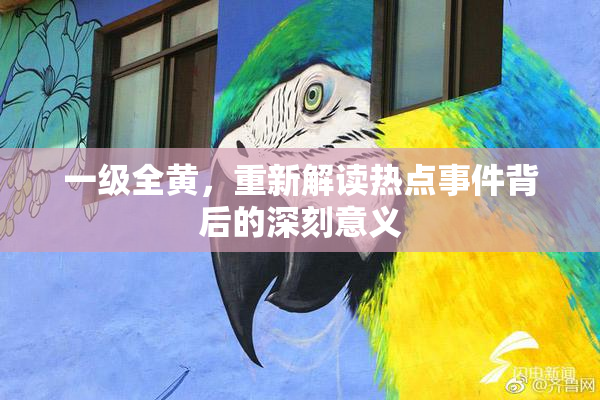 一级全黄，重新解读热点事件背后的深刻意义
