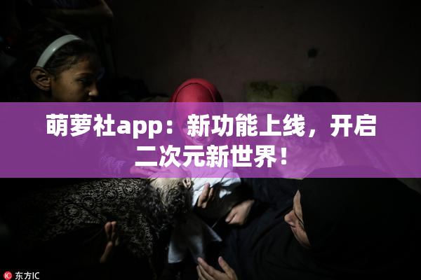 萌萝社app：新功能上线，开启二次元新世界！