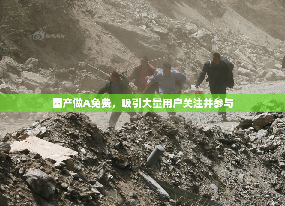 国产做A免费，吸引大量用户关注并参与