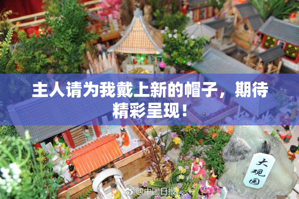 主人请为我戴上新的帽子，期待精彩呈现！