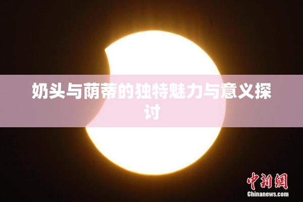 奶头与荫蒂的独特魅力与意义探讨