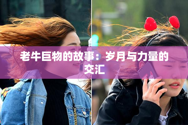 老牛巨物的故事：岁月与力量的交汇