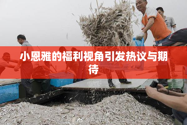 小恩雅的福利视角引发热议与期待