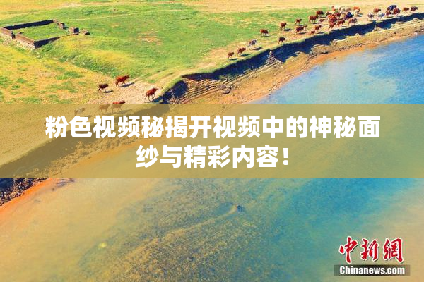粉色视频秘揭开视频中的神秘面纱与精彩内容！