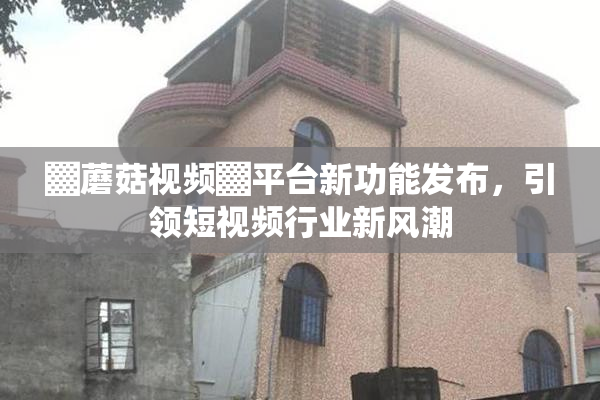 ▓蘑菇视频▓平台新功能发布，引领短视频行业新风潮