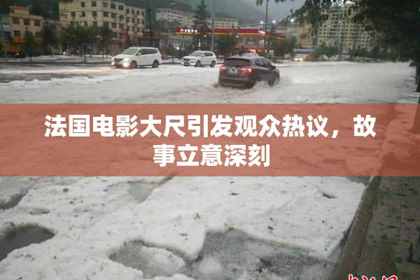 法国电影大尺引发观众热议，故事立意深刻