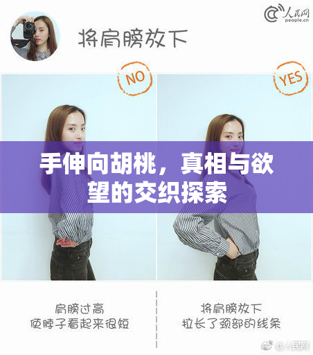 手伸向胡桃，真相与欲望的交织探索