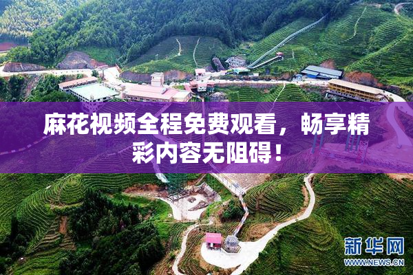 麻花视频全程免费观看，畅享精彩内容无阻碍！
