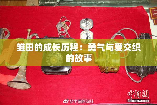 雏田的成长历程：勇气与爱交织的故事
