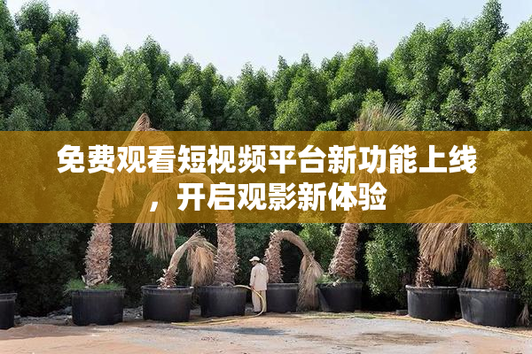 免费观看短视频平台新功能上线，开启观影新体验