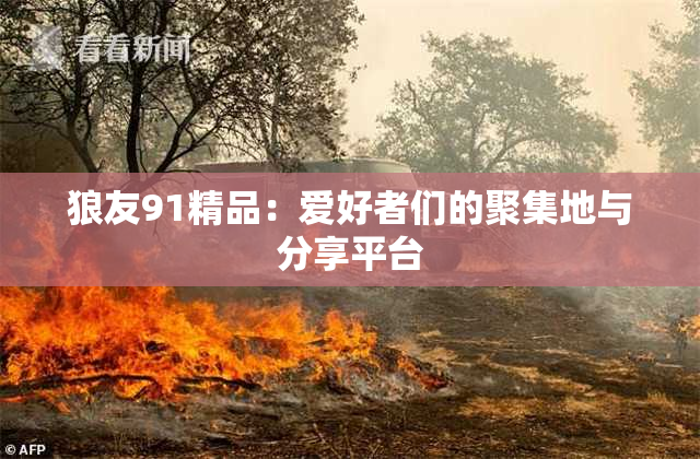 狼友91精品：爱好者们的聚集地与分享平台