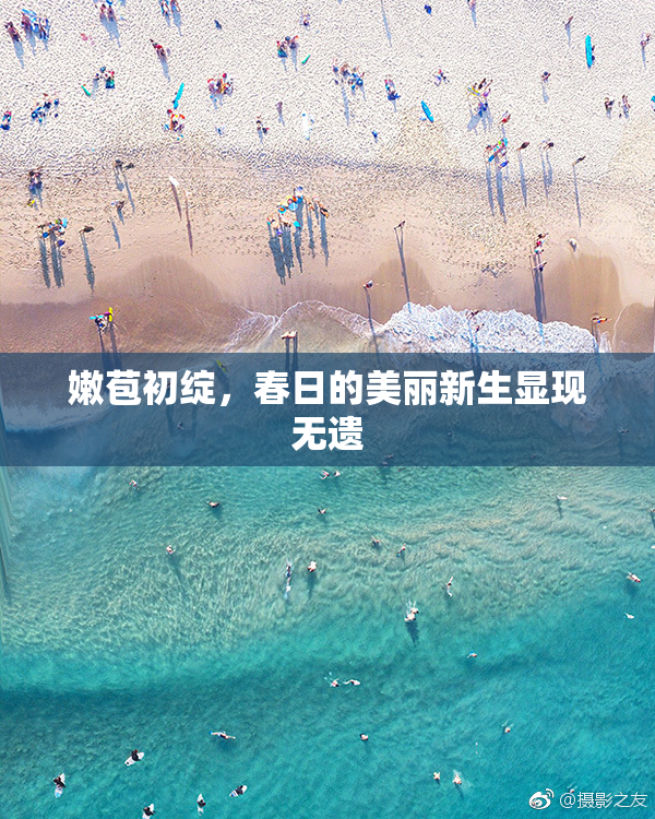 嫩苞初绽，春日的美丽新生显现无遗