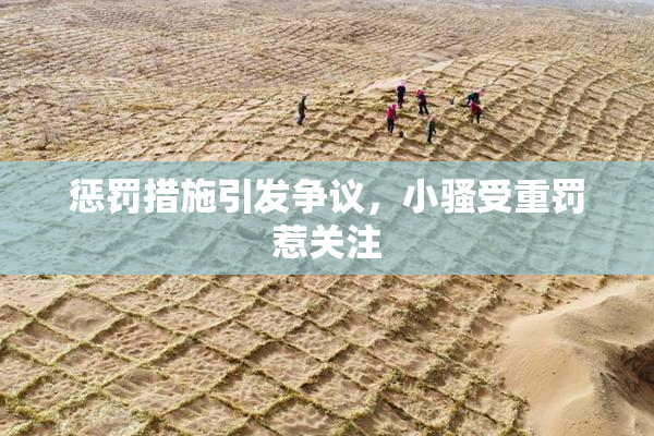 惩罚措施引发争议，小骚受重罚惹关注