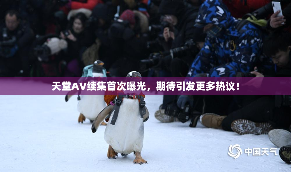 天堂A∨续集首次曝光，期待引发更多热议！