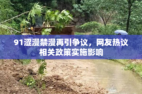 91涩漫禁漫再引争议，网友热议相关政策实施影响