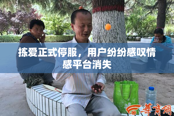 拣爱正式停服，用户纷纷感叹情感平台消失