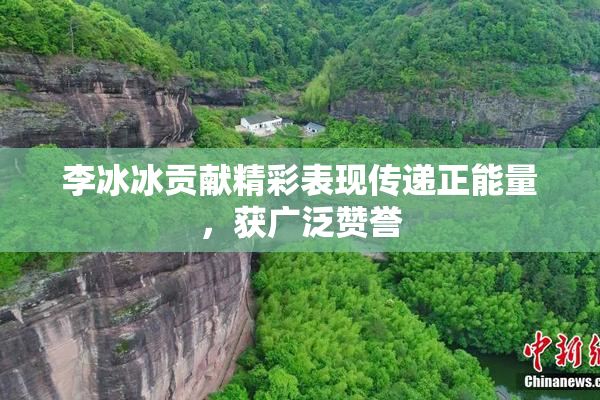 李冰冰贡献精彩表现传递正能量，获广泛赞誉