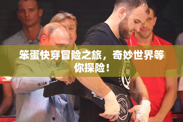 笨蛋快穿冒险之旅，奇妙世界等你探险！