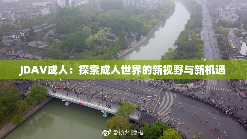 JDAV成人：探索成人世界的新视野与新机遇