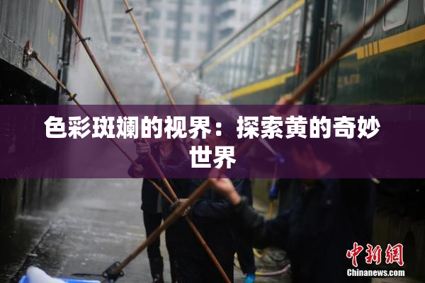 色彩斑斓的视界：探索黄的奇妙世界