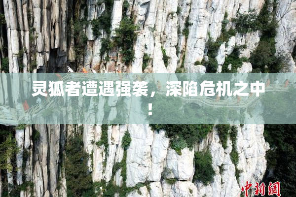 灵狐者遭遇强袭，深陷危机之中！