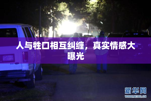 人与牲口相互纠缠，真实情感大曝光