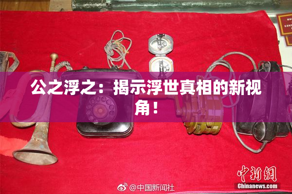 公之浮之：揭示浮世真相的新视角！