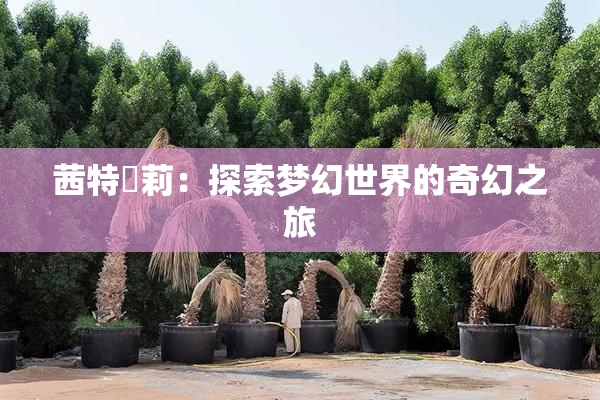 茜特菈莉：探索梦幻世界的奇幻之旅