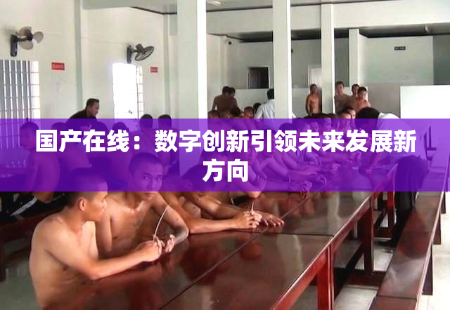 国产在线：数字创新引领未来发展新方向
