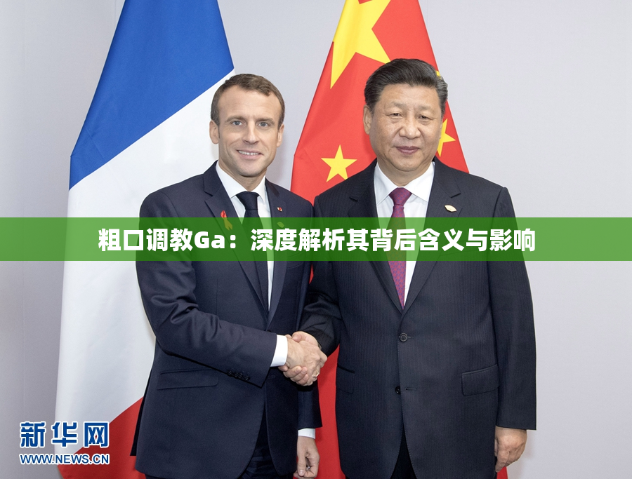 粗口调教Ga：深度解析其背后含义与影响