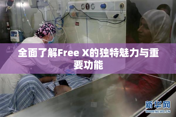全面了解Free X的独特魅力与重要功能
