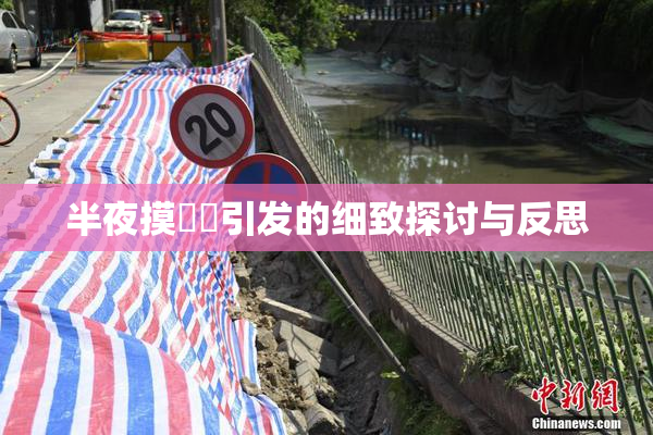 半夜摸妺妺引发的细致探讨与反思