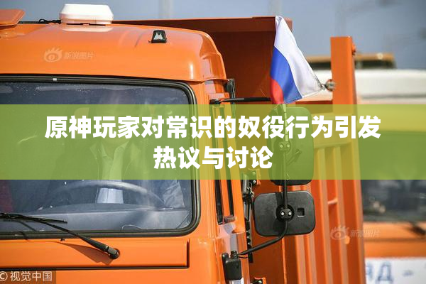 原神玩家对常识的奴役行为引发热议与讨论