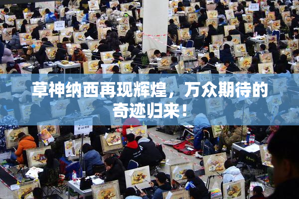 草神纳西再现辉煌，万众期待的奇迹归来！
