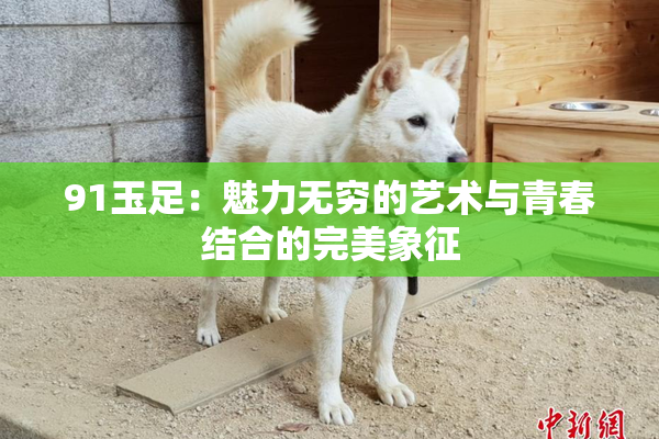 91玉足：魅力无穷的艺术与青春结合的完美象征
