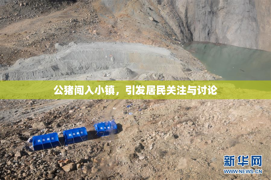 公猪闯入小镇，引发居民关注与讨论