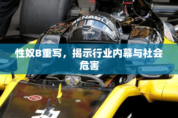 性奴B重写，揭示行业内幕与社会危害