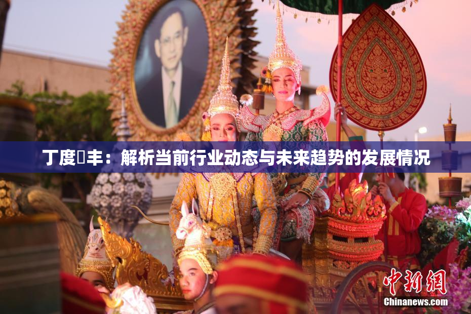 丁度巜丰：解析当前行业动态与未来趋势的发展情况