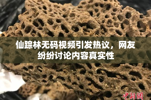 仙踪林无码视频引发热议，网友纷纷讨论内容真实性