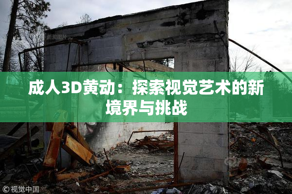 成人3D黄动：探索视觉艺术的新境界与挑战
