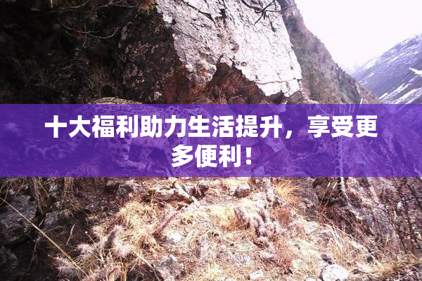 十大福利助力生活提升，享受更多便利！