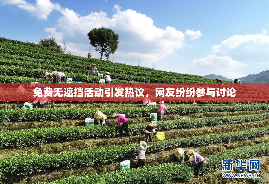 免费无遮挡活动引发热议，网友纷纷参与讨论