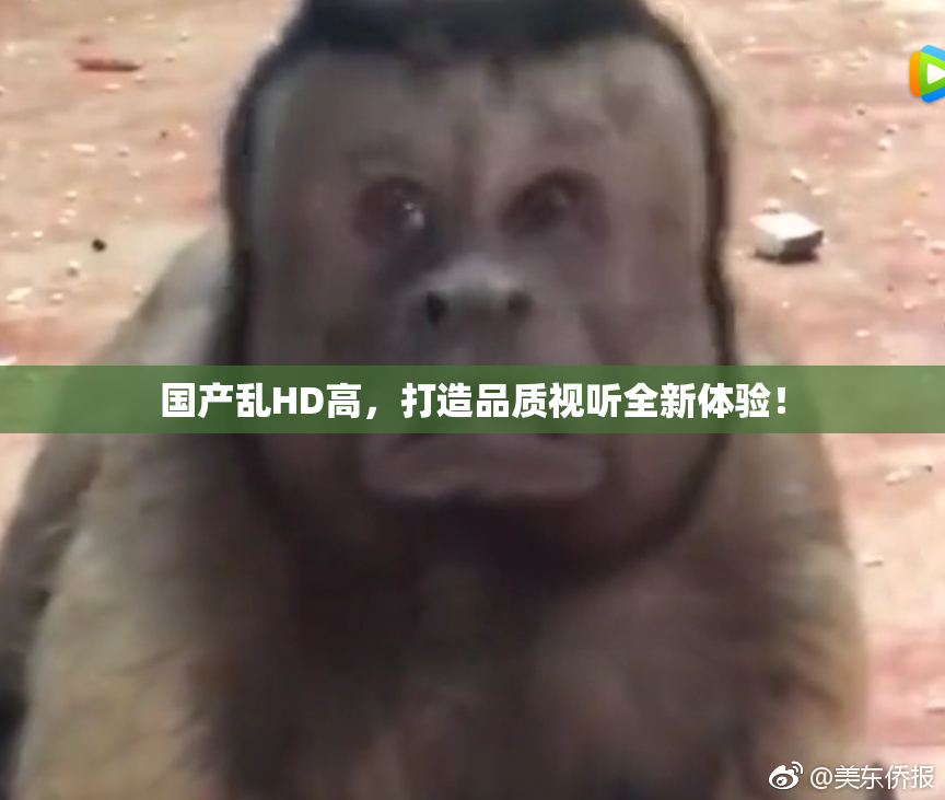 国产乱HD高，打造品质视听全新体验！