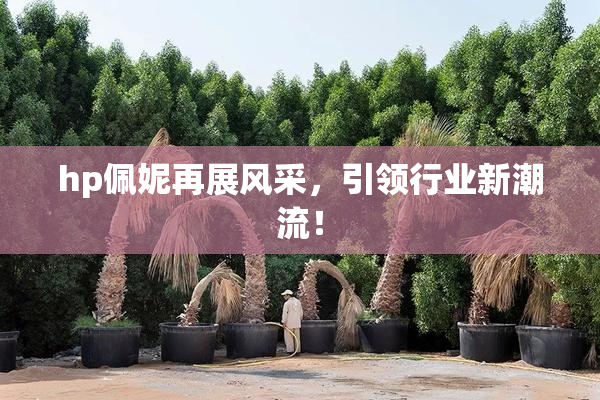 hp佩妮再展风采，引领行业新潮流！