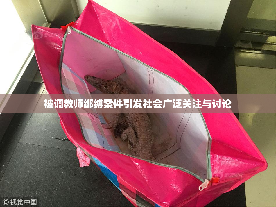 被调教师绑缚案件引发社会广泛关注与讨论