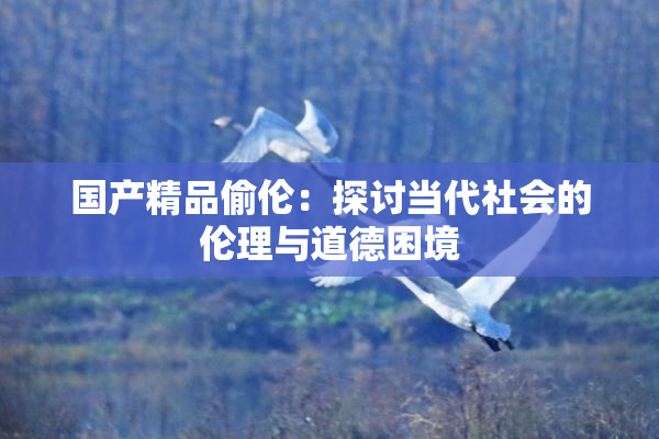 国产精品偷伦：探讨当代社会的伦理与道德困境