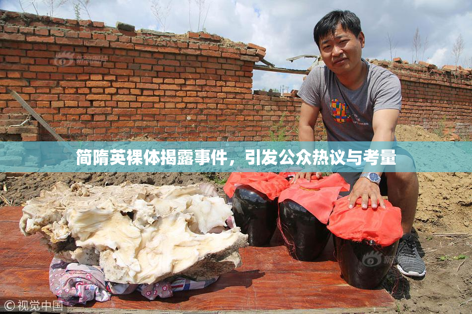 简隋英裸体揭露事件，引发公众热议与考量