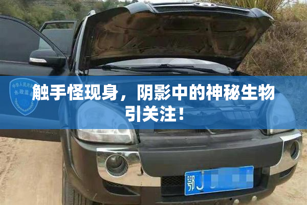触手怪现身，阴影中的神秘生物引关注！